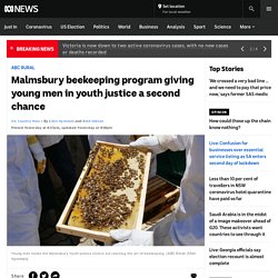 Malmsbury beekeeping program giving young men in youth justice a second chance - ABC News