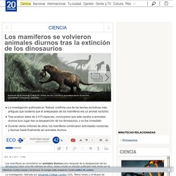 Los mamíferos se volvieron animales diurnos tras la extinción de los dinosaurios