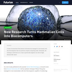 New Research Turns Mammalian Cells Into Biocomputers