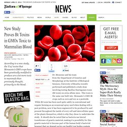 New Study Proves Bt Toxins in GMOs Toxic to Mammalian Blood