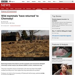 Wild mammals 'have returned' to Chernobyl