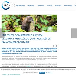Une espèce de mammifère sur trois désormais menacée ou quasi menacée en France métropolitaine - UICN France