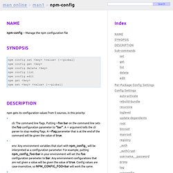 Man online - npm-config (1)