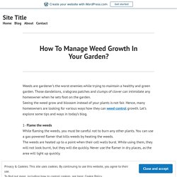 How To Manage Weed Growth In Your Garden?