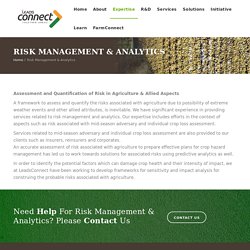 Risk Management Analysis