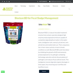 Bioclean BD for Fecal Sludge Management, Biodigester Tank Enzymes