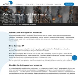 Crisis Management Consultant