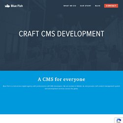 Craft CMS Developers