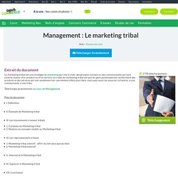 Cours management : Le marketing tribal