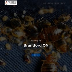 Bed Bugs Control Services Brantford ON
