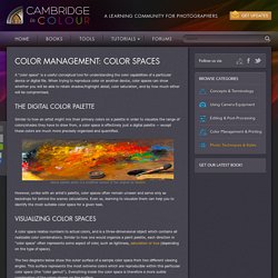 Color Management: Understanding Color Spaces