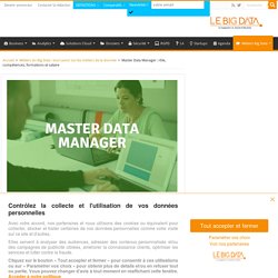 Master Data Manager : rôle, compétences, formations et salaire