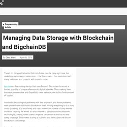 Managing Data Storage with Blockchain and BigchainDB
