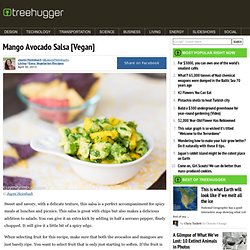 Mango Avocado Salsa [Vegan]