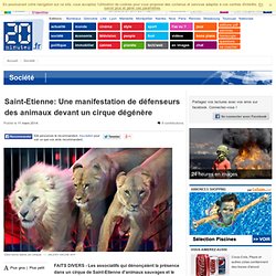 Saint-Etienne: Une manifestation de défenseurs des animaux devant un cirque dégénère