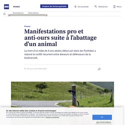 France – Manifestations pro et anti-ours suite à l’abattage d’un animal