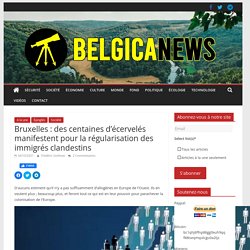 Bruxelles : des centaines d’écervelés manifestent pour la régularisation des immigrés clandestins – Belgica News