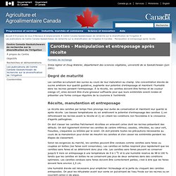 AGRICULTURE CANADA - Carottes - Manipulation et entreposage après récolte