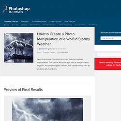 How to Create a Photo Manipulation of a Wolf in Stormy Weather