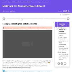 Manipulez les lignes et les colonnes - Maîtrisez les fondamentaux d'Excel