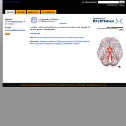 Människans nervsystem: Startsida