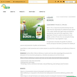 Liquid Boron Fertilizer To Enhance Crop Production : Peptech biosciences