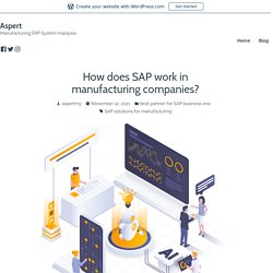 How does SAP work in manufacturing companies? – Aspert