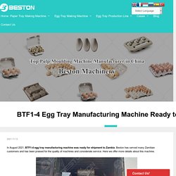 BTF1-4 Egg Tray Manufacturing Machine Ready to Zambia - Beston Group