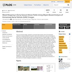 Weed Mapping in Early-Season Maize Fields Using Object-Based Analysis of Unmanned Aerial Vehicle (UAV) Images