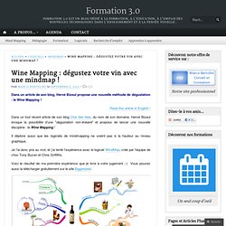 Wine Mapping : dégustez votre vin avec une mindmap !