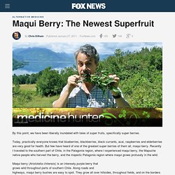 Maqui Berry: The Newest Superfruit