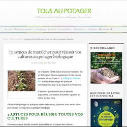 10 astuces de maraîcher pour réussir vos cultures au potager biologique