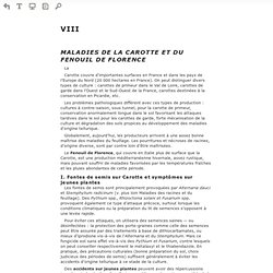 Lire en ligne Les maladies des plantes maraîchères, 3e éd. - VIII - MALADIES DE LA CAROTTE ET DU FENOUIL DE FLORENCE (Prévisualisation)