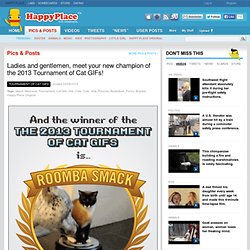 The 2013 March Madness Tournament Of Cat GIFs