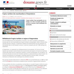 Espèce tarifaire des marchandises à l'importation