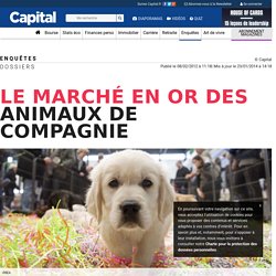 Le marché en or des animaux de compagnie