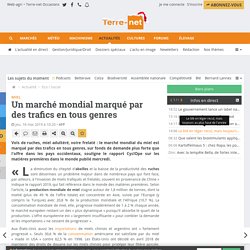 Le marché mondial du miel marqué par des trafics en tous genres