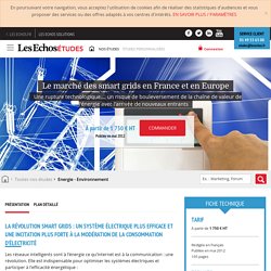 Le marché des smart grids en France et en Europe