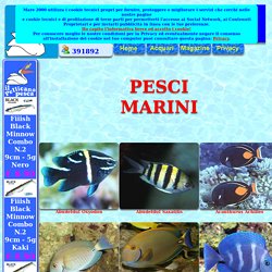 MARE 2000 - Pesci Marini Tropicali