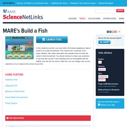 MARE's Build a Fish