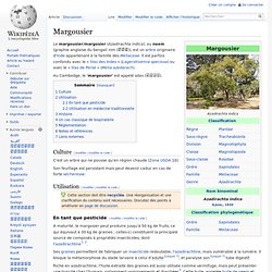 Margousier
