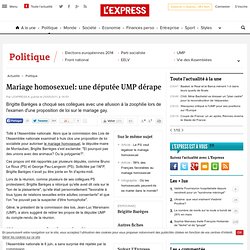 Mariage homosexuel: une députée UMP dérape