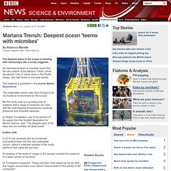 Mariana Trench: Deepest ocean 'teems with microbes'