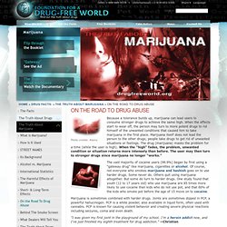 Foundation for a Drug Free World: Marijuana as a Gateway Drug, Cocaine, Heroin, PCP