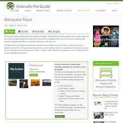  A Marijuana Travel Guide