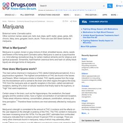 Marijuana: Effects, Medical Uses & Legalization