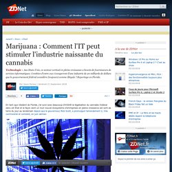 Marijuana : Comment l'IT peut stimuler l'industrie naissante du cannabis