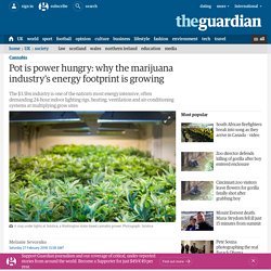 Pot is power hungry: why the marijuana industry's energy footprint is growing