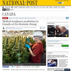Medical marijuana production in Canada set for dramatic change
