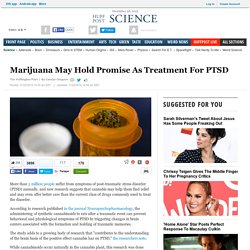 Marijuana May Hold Promise As Treatment For PTSD